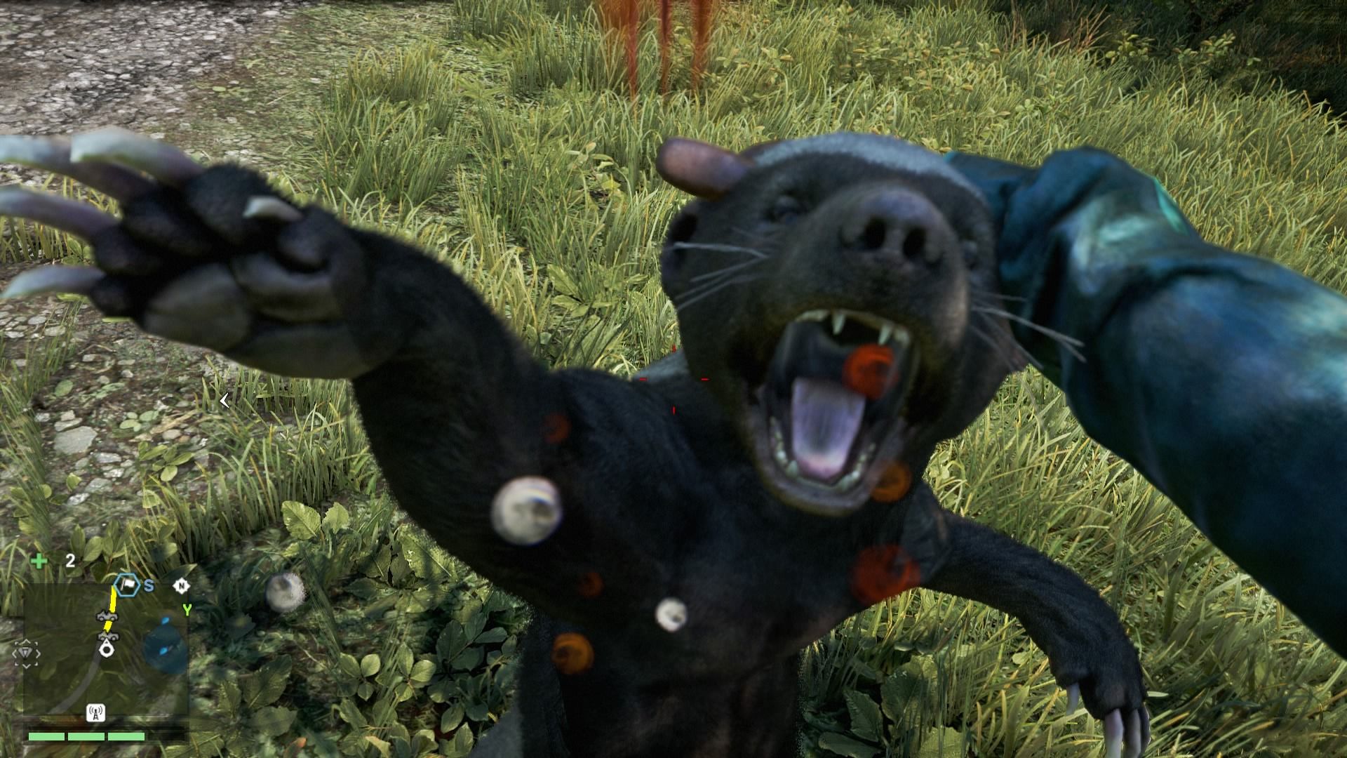 Far Cry 4 as Experienced by a Honey Badger