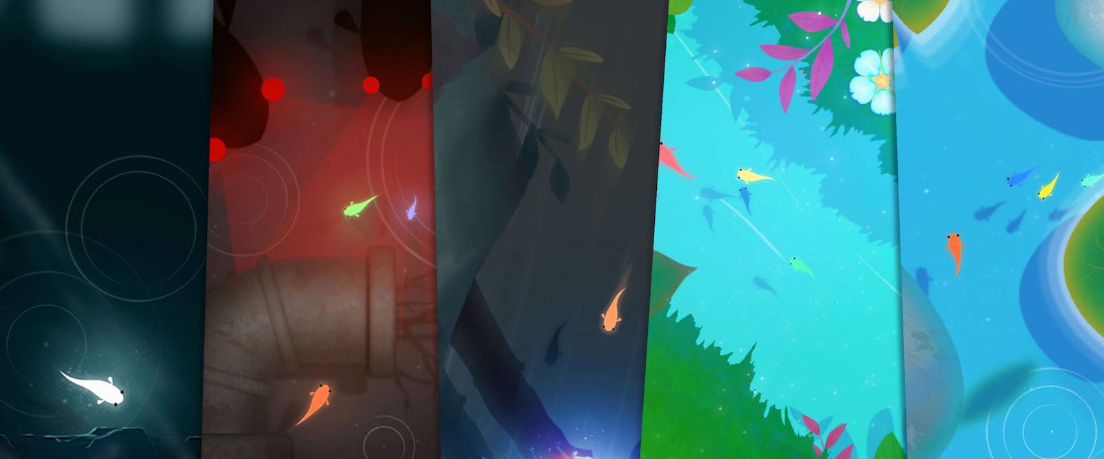 Review: KOI