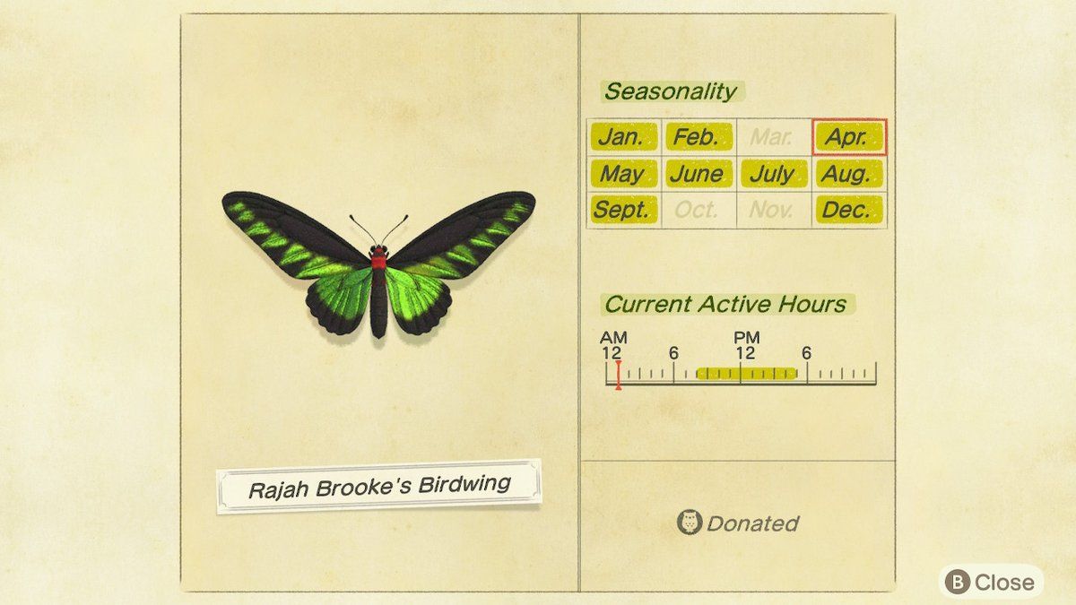Animal Crossing: New Horizons Bug Catching Guide