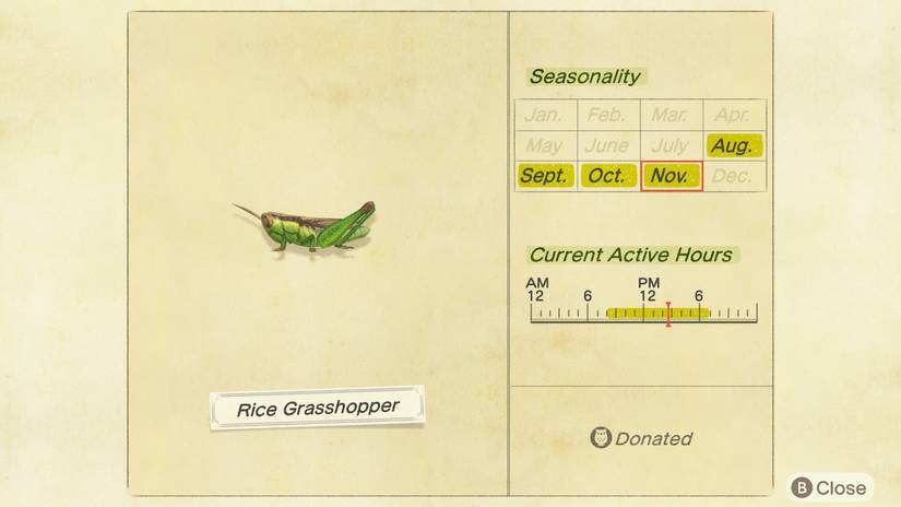 Animal Crossing: New Horizons Bug Catching Guide