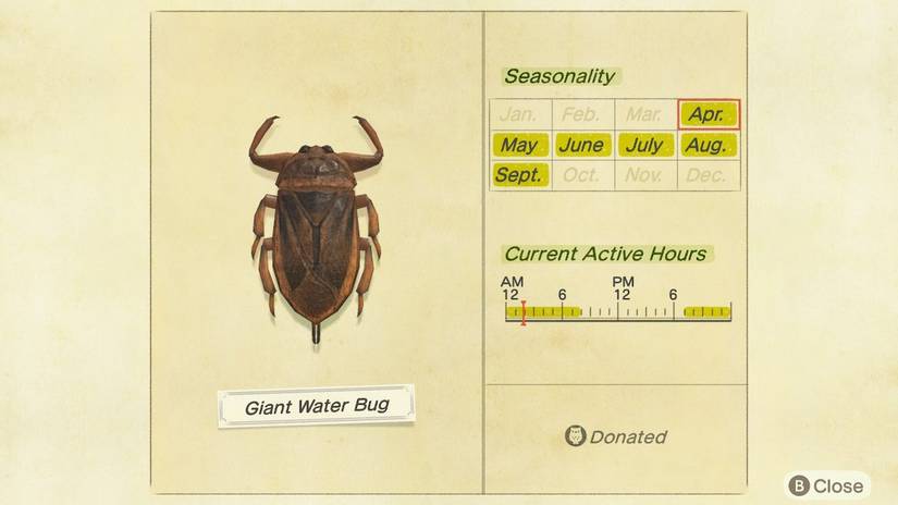 Animal Crossing: New Horizons Bug Catching Guide