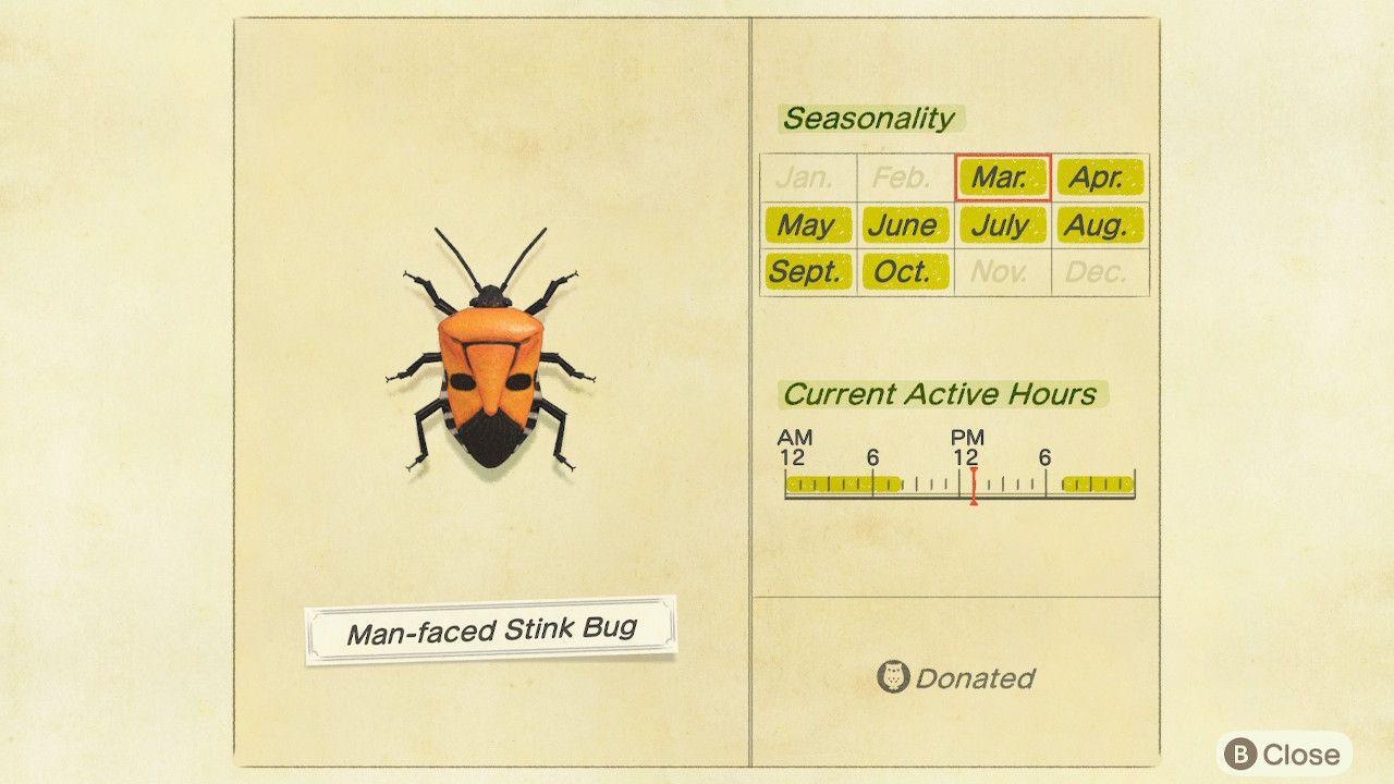 Animal Crossing: New Horizons Bug Catching Guide
