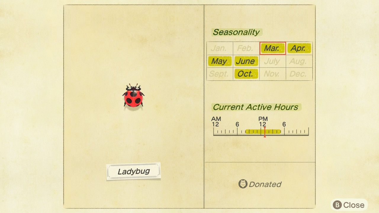 Animal Crossing: New Horizons Bug Catching Guide