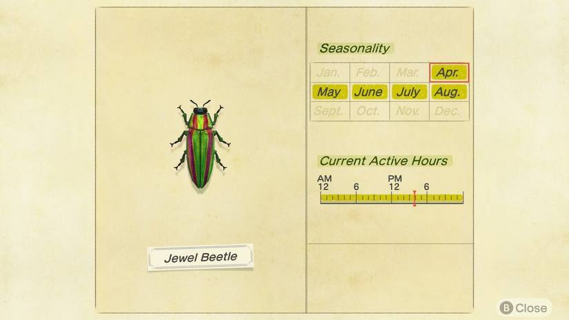 Animal Crossing: New Horizons Bug Catching Guide