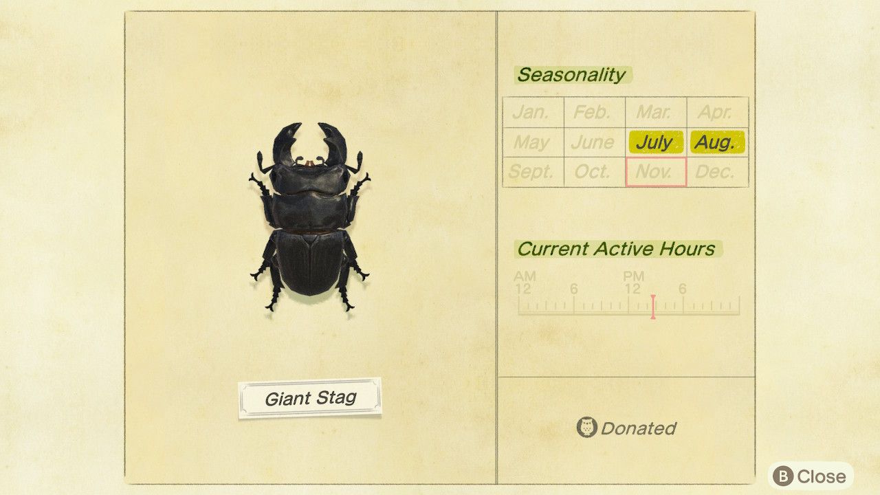 Animal Crossing: New Horizons Bug Catching Guide