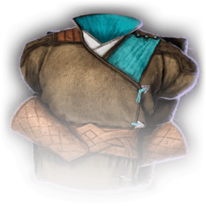 Elegant Robe | Baldur's Gate 3