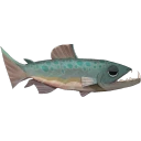 Palia DB | Cutthroat Trout | Hardcore Gamer