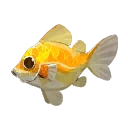 Palia DB | Radiant Sunfish | Hardcore Gamer
