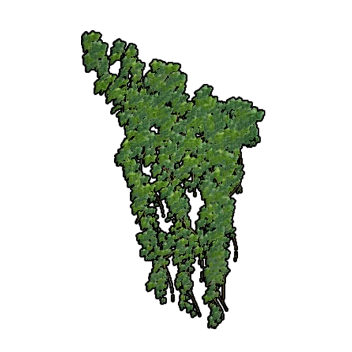 palworld-big-wall-ivy-icon