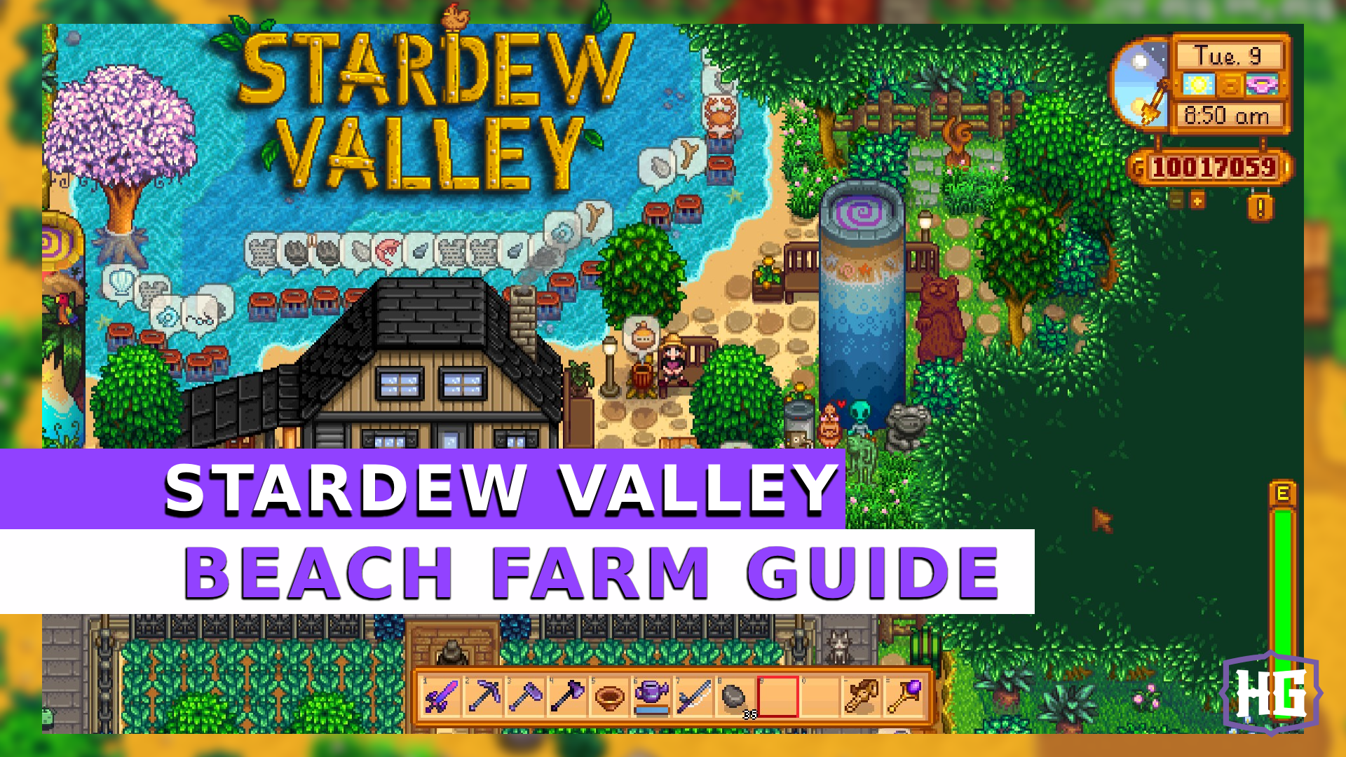 beach farm guide stardew valley