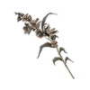 dd2-dried-flower-3
