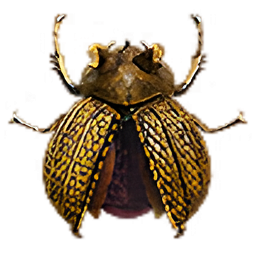 dd2-golden-trove-beetle-3