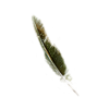 dd2-poison-pinion-3