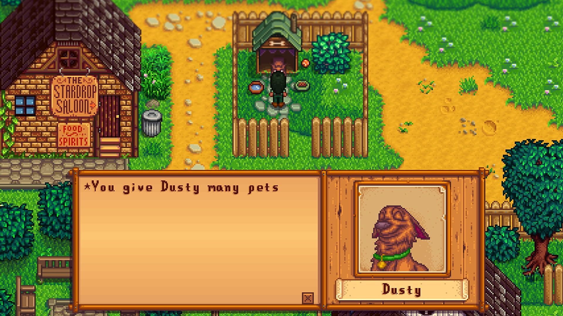 Stardew Valley How to Get a Pet