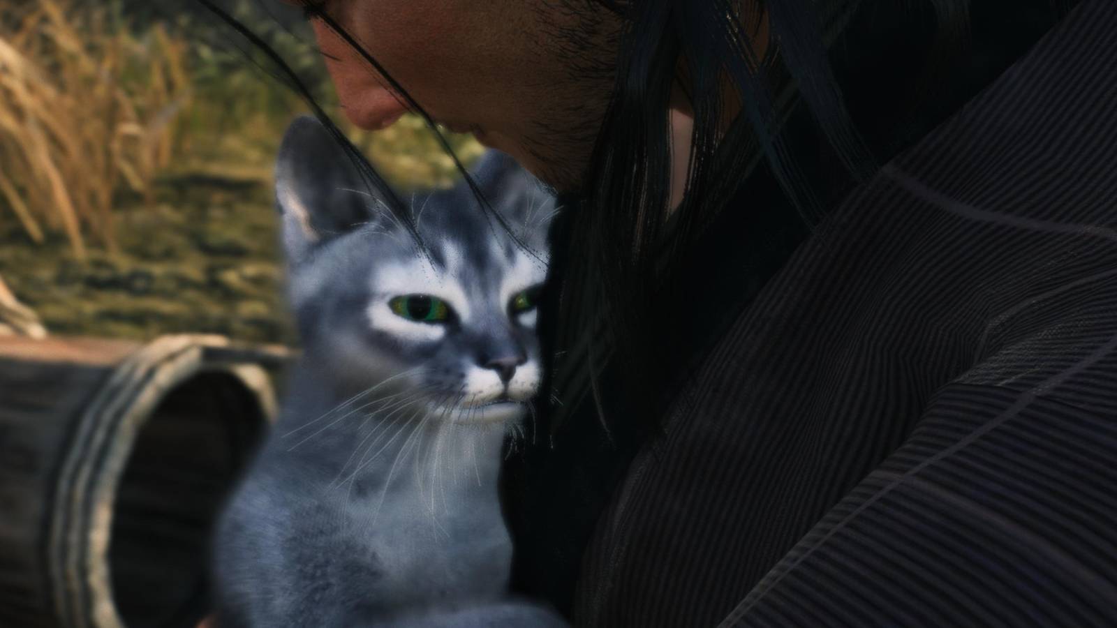 Rise of the Ronin Cat Guide Yokohama