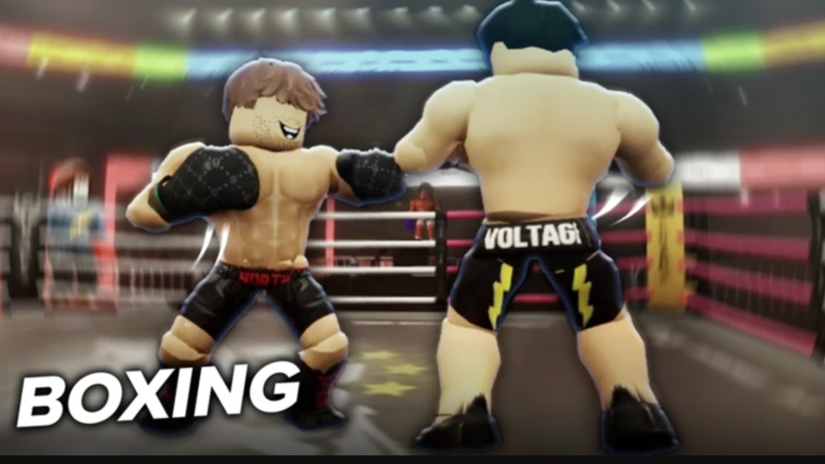 Cheat Code Boxer Boxing Beta Codes (February 2025)