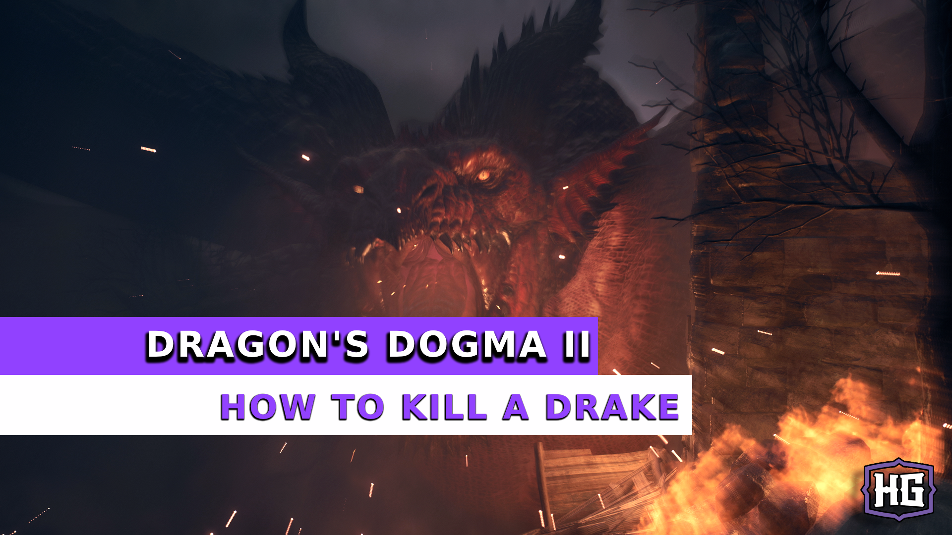 dd2 how to kill a drake