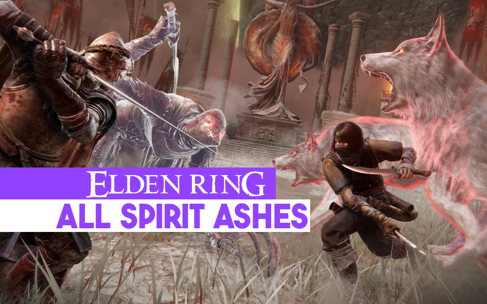 All Spirit Ashes | Elden Ring