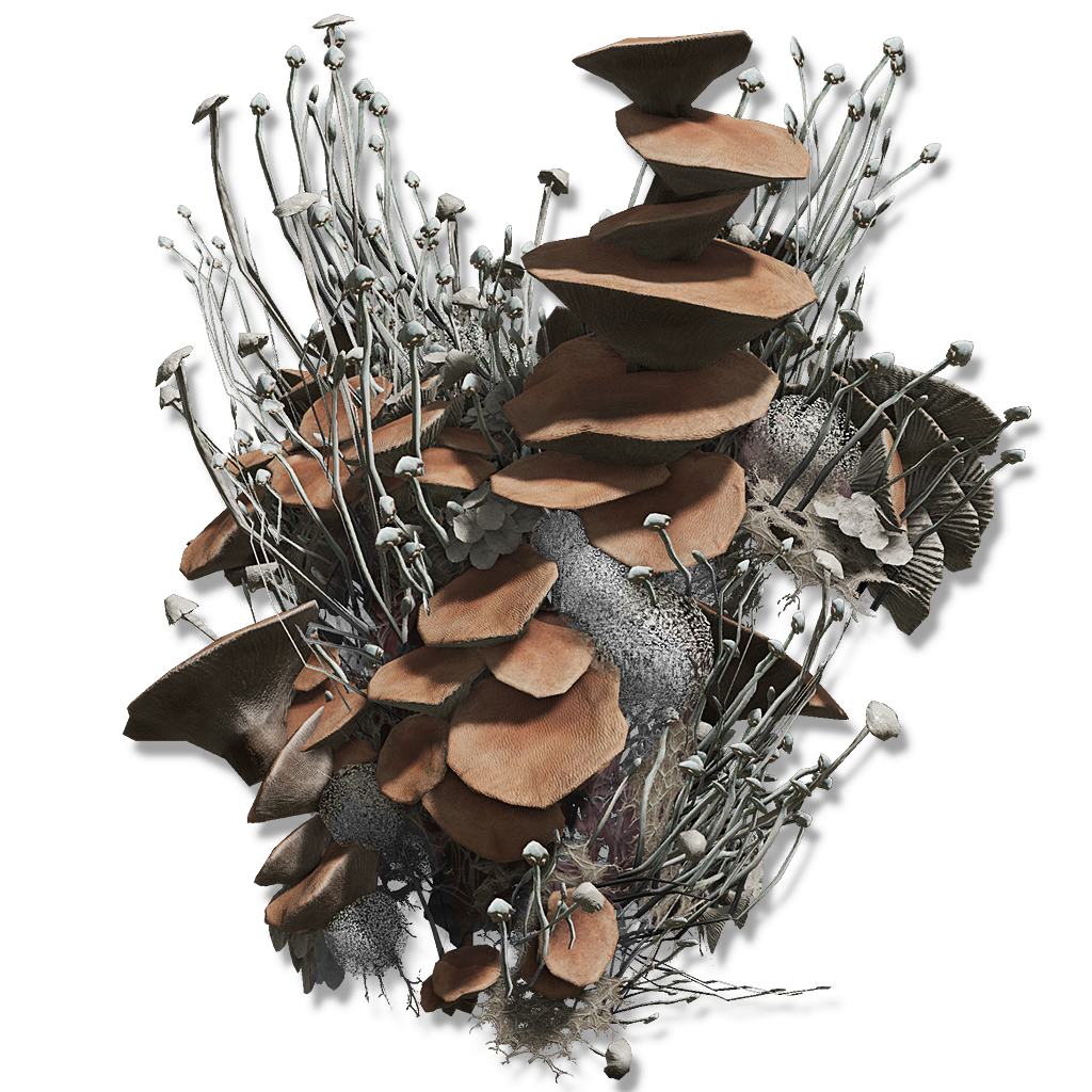 Mushroom Body Elden Ring Hardcore Gamer