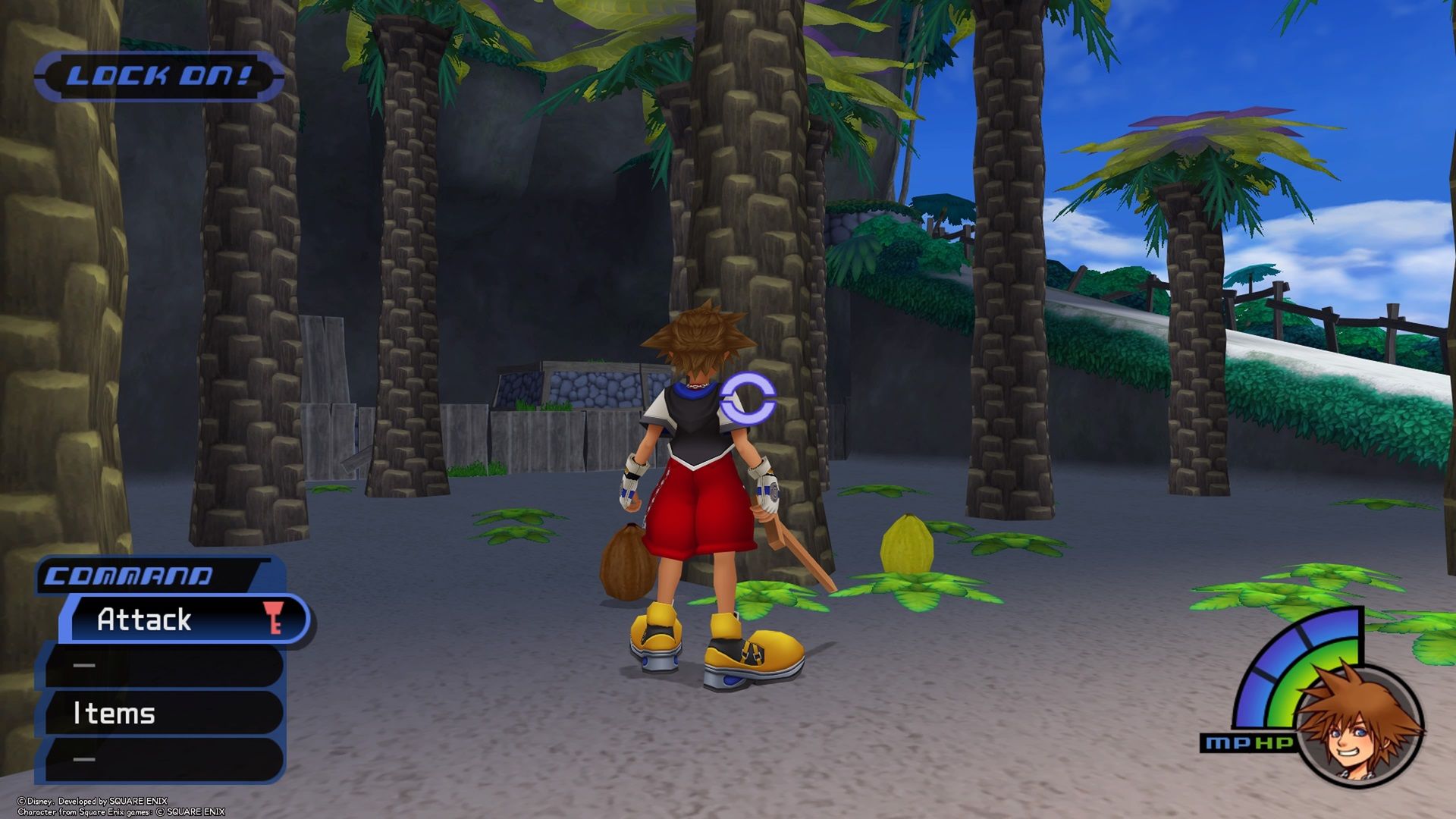 How to Find Coconuts in Kingdom Hearts