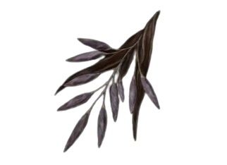 Rada Fruit | Elden Ring | Hardcore Gamer