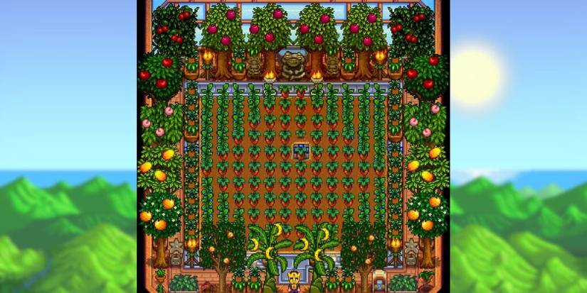 Stardew Valley Greenhouse Layout