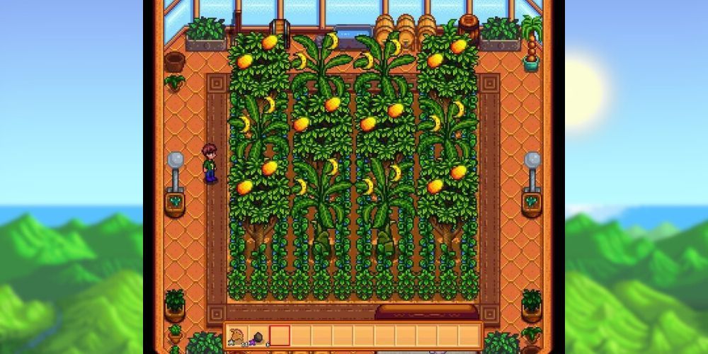 Xbox1 Stardew Valley Greenhouse Layout Stardew Valley's New Beach Farm