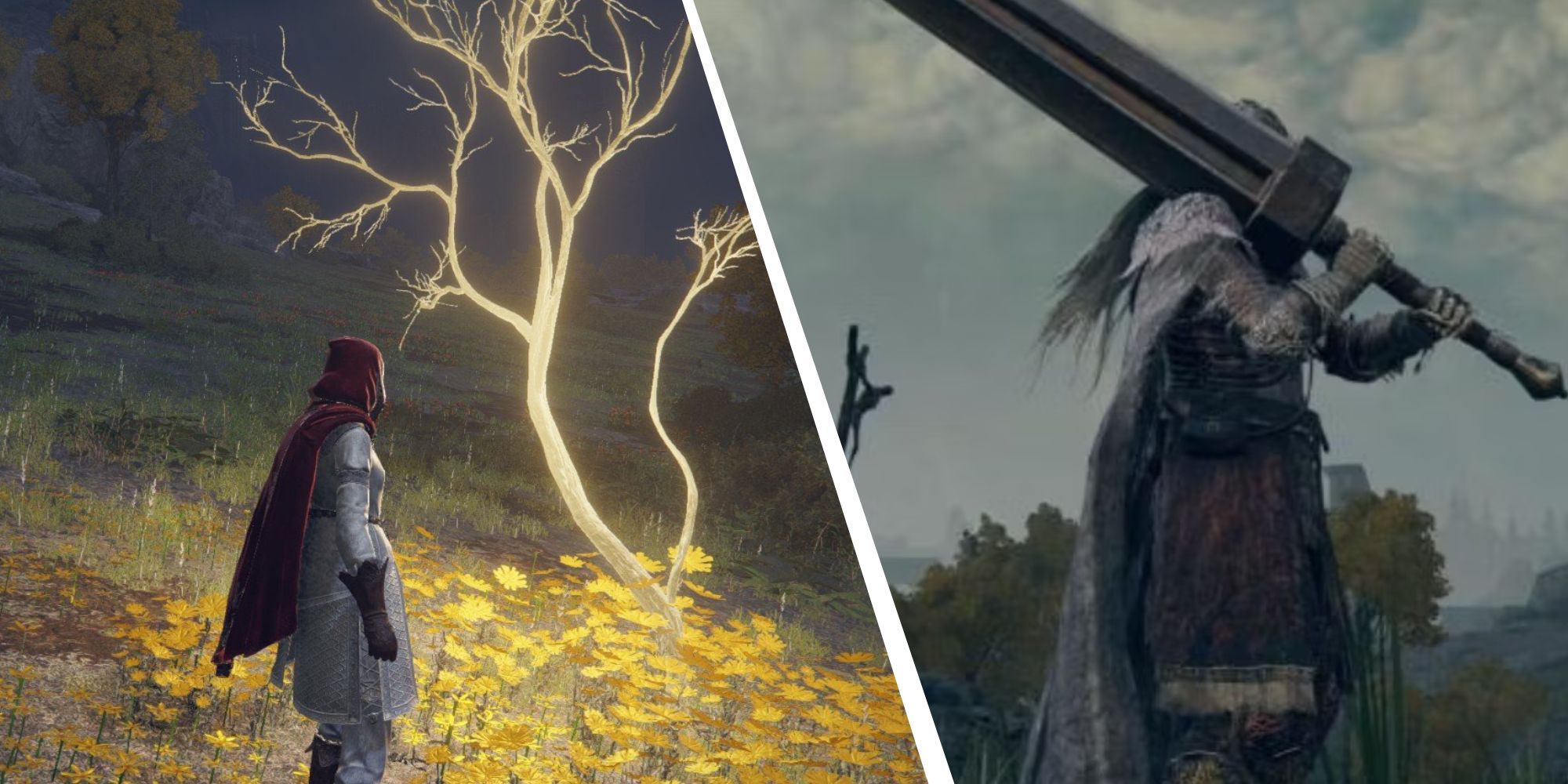shadow of the erdtree how to summon icon
