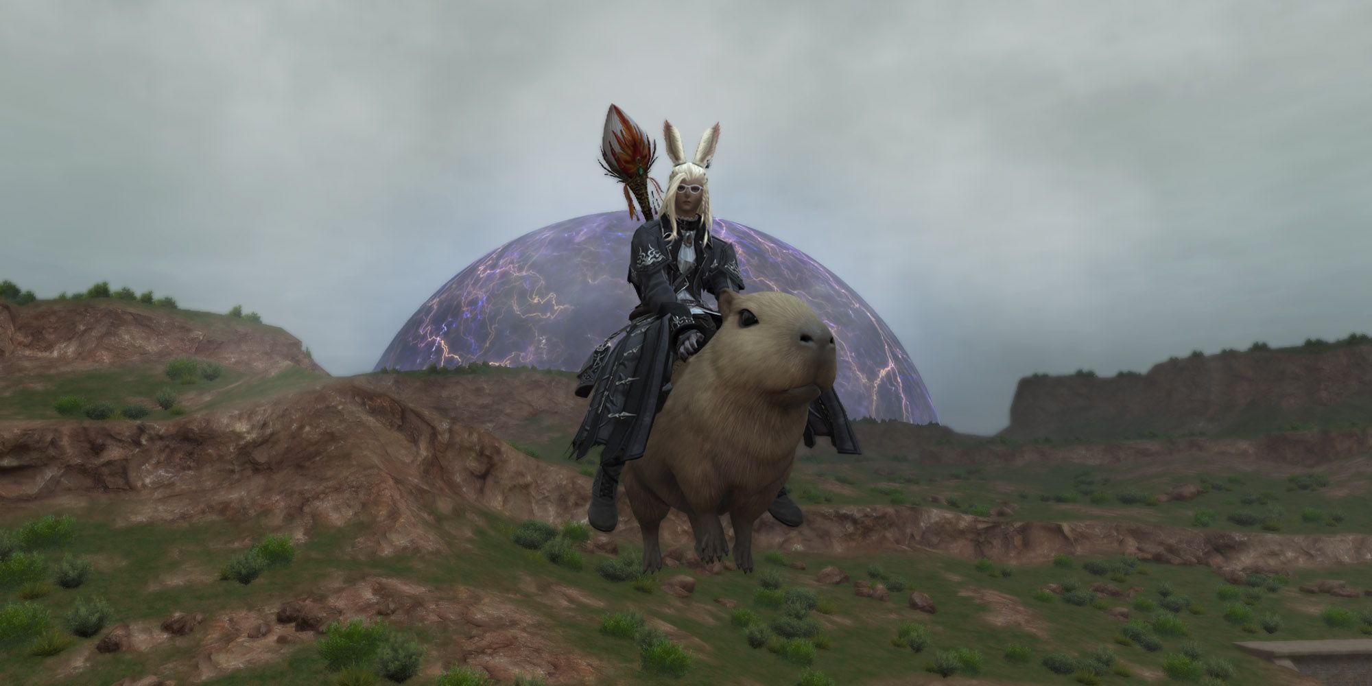 FFXIVDT-capibara