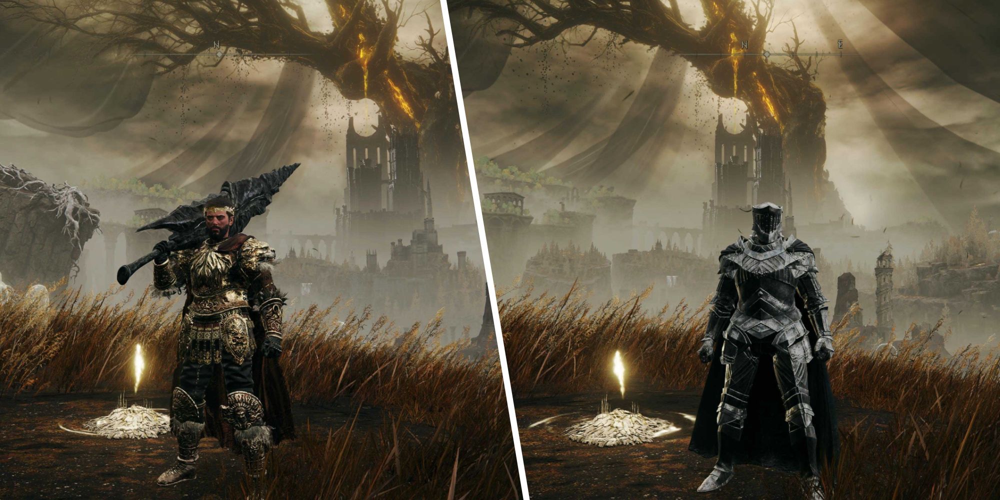 Shadow of the Erdtree Early Items Feature
