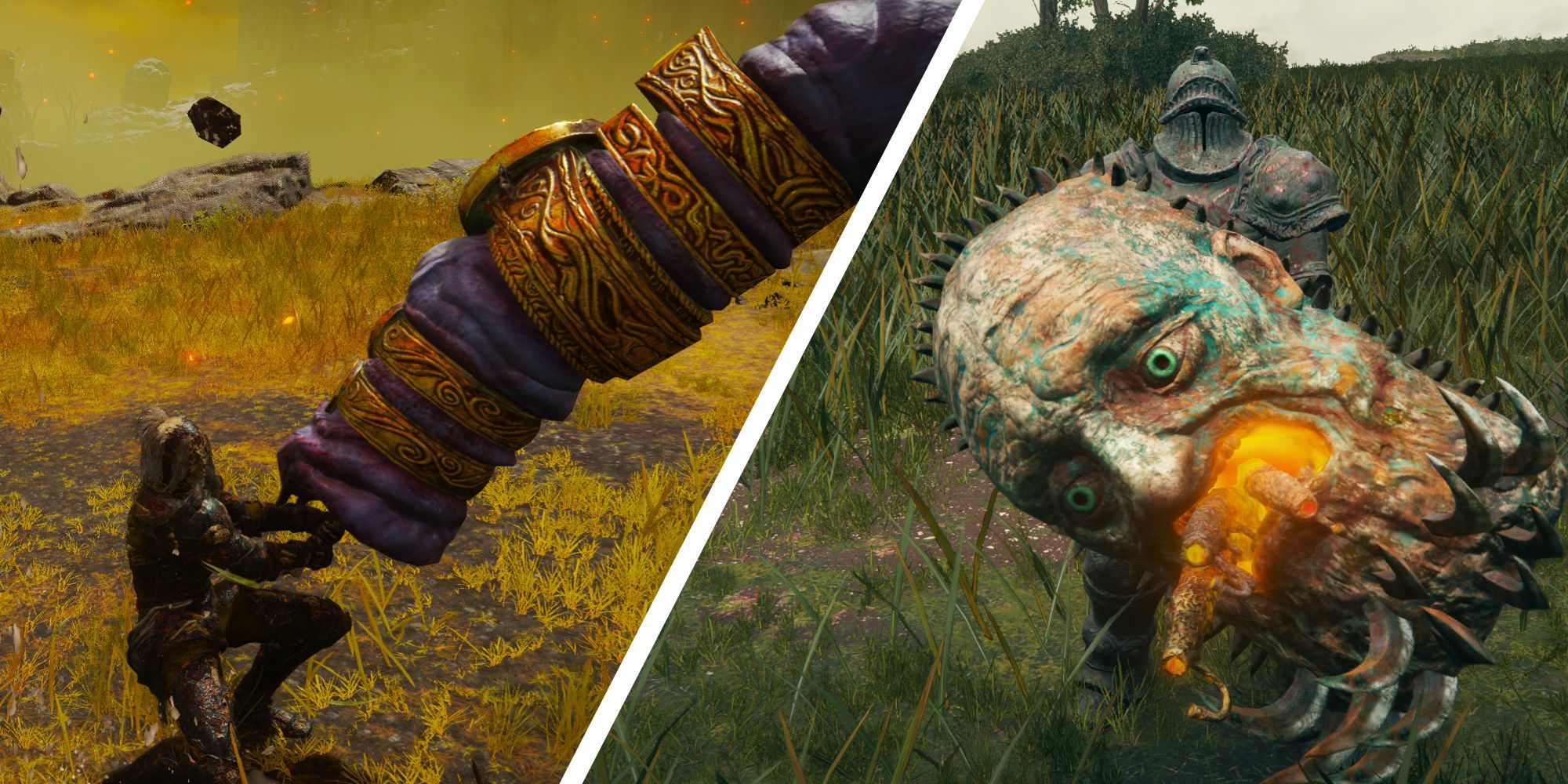 Warriors wielding Visage Shielf and RInged Finger weapons