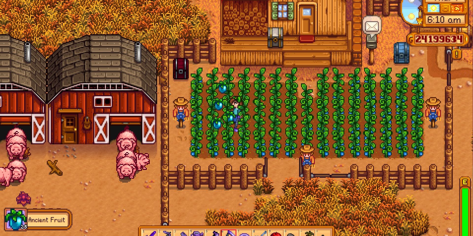 Image of a ton of Ancient Fruit being harvested in Stardew Valley.