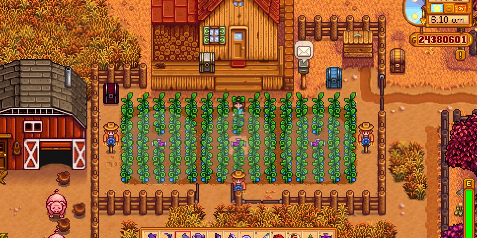 Image of Iridium Sprinklers watering a ton of plants in Stardew Valley.