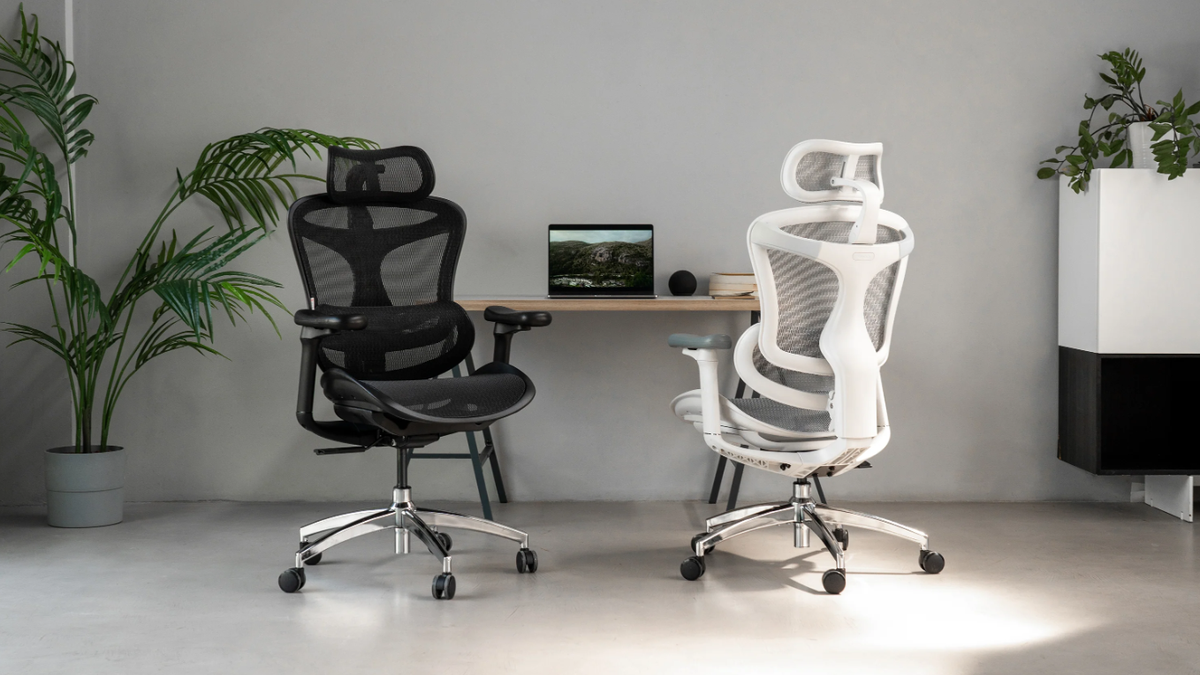 The Sihoo Doro C300 Ergonomic Office Chair Review: Sleek, Stylish 
