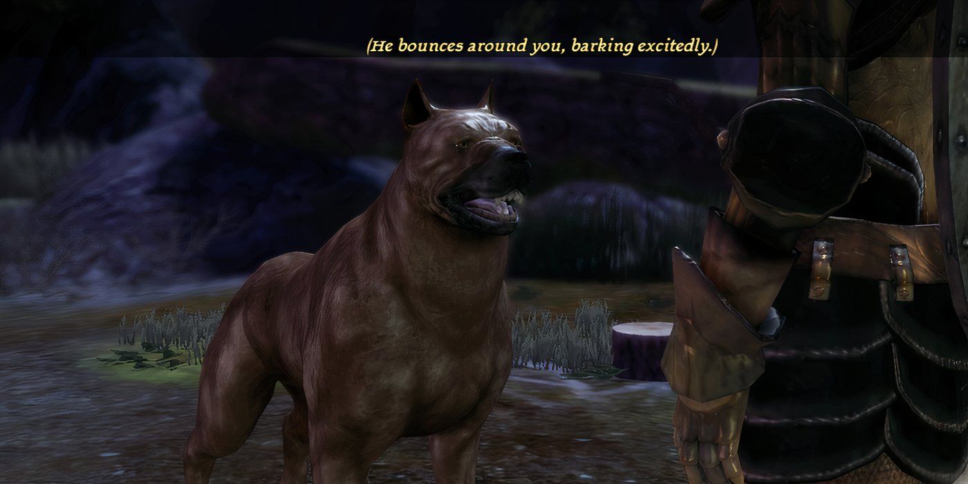 Mabari-at-camp-with-player-Dragon-Age-Origins