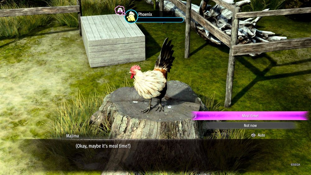 Wie ein Drachenpirat Yakuza in Hawaii_Goro_Kingdom_Phoenix