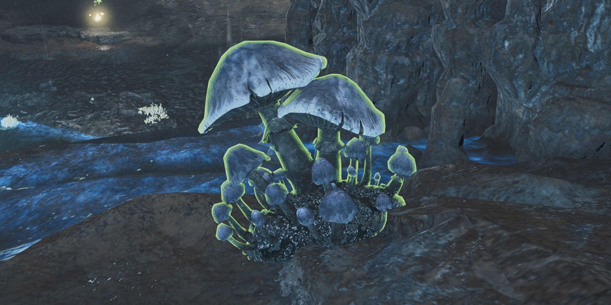 Monsterhunterwilds-Chillshroom-Fea