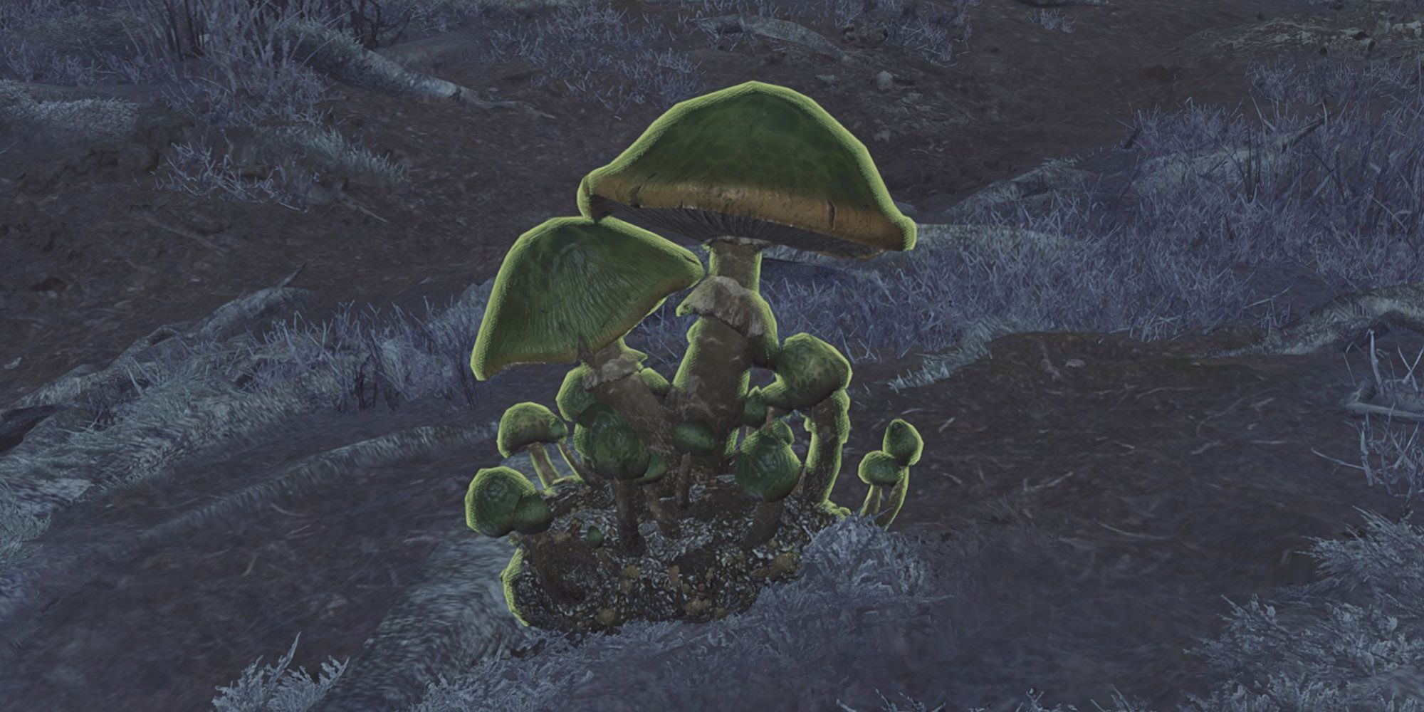Monsterhunterwilds-excitehroom-fea