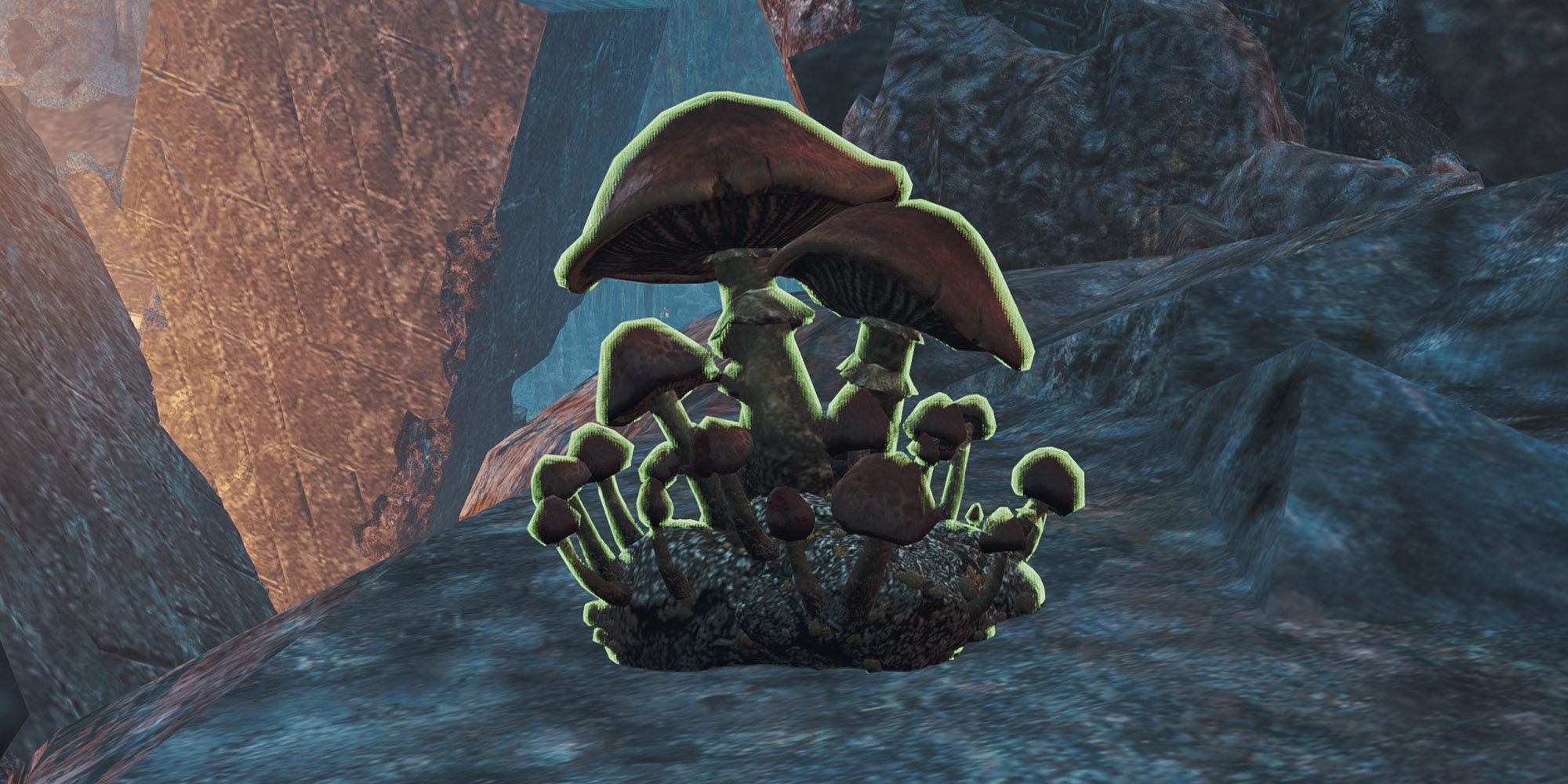 Monsterhunterwilds-nitroshroom-fea