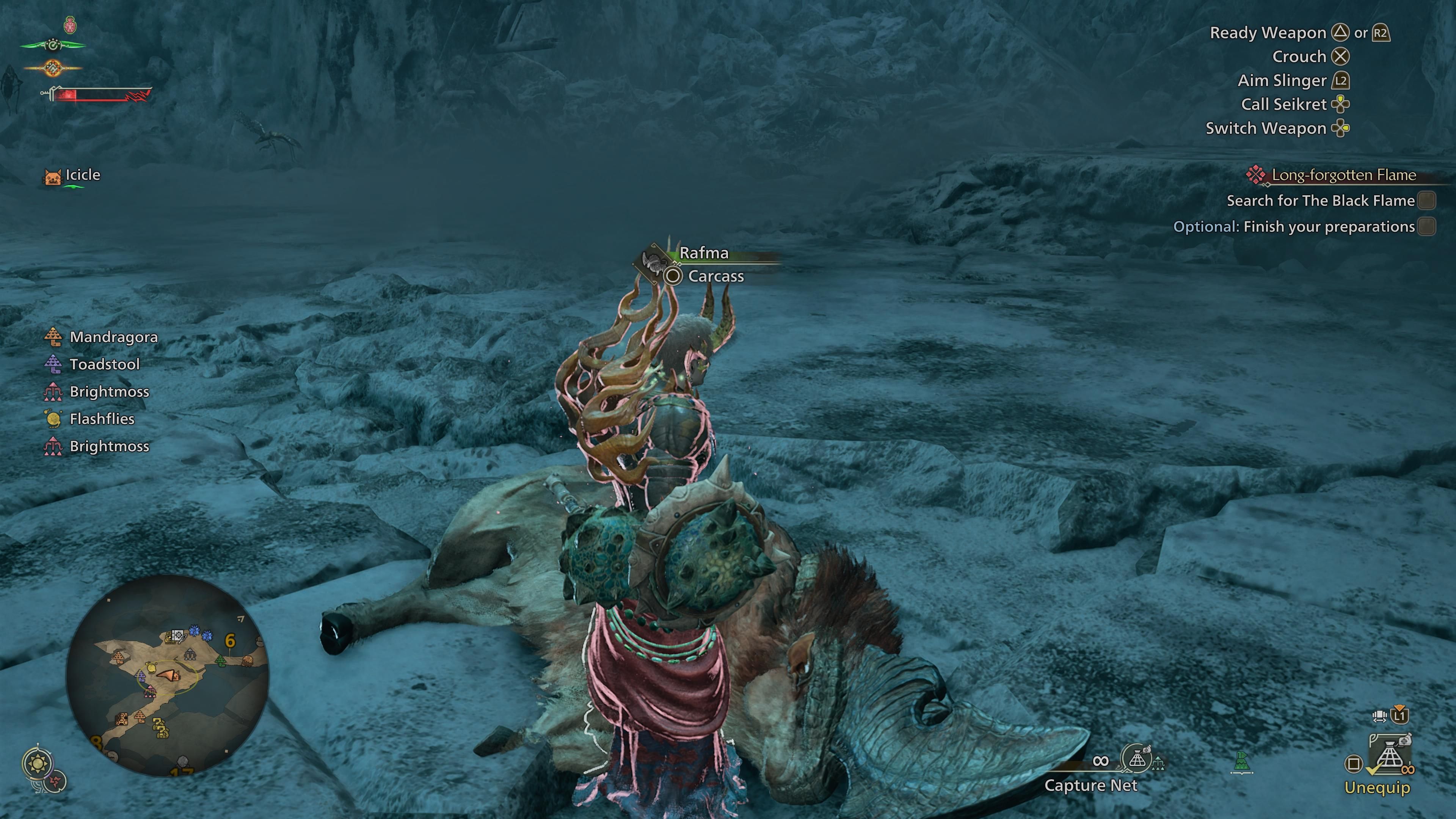 Rime Beetle Location in Monster Hunter Wilds