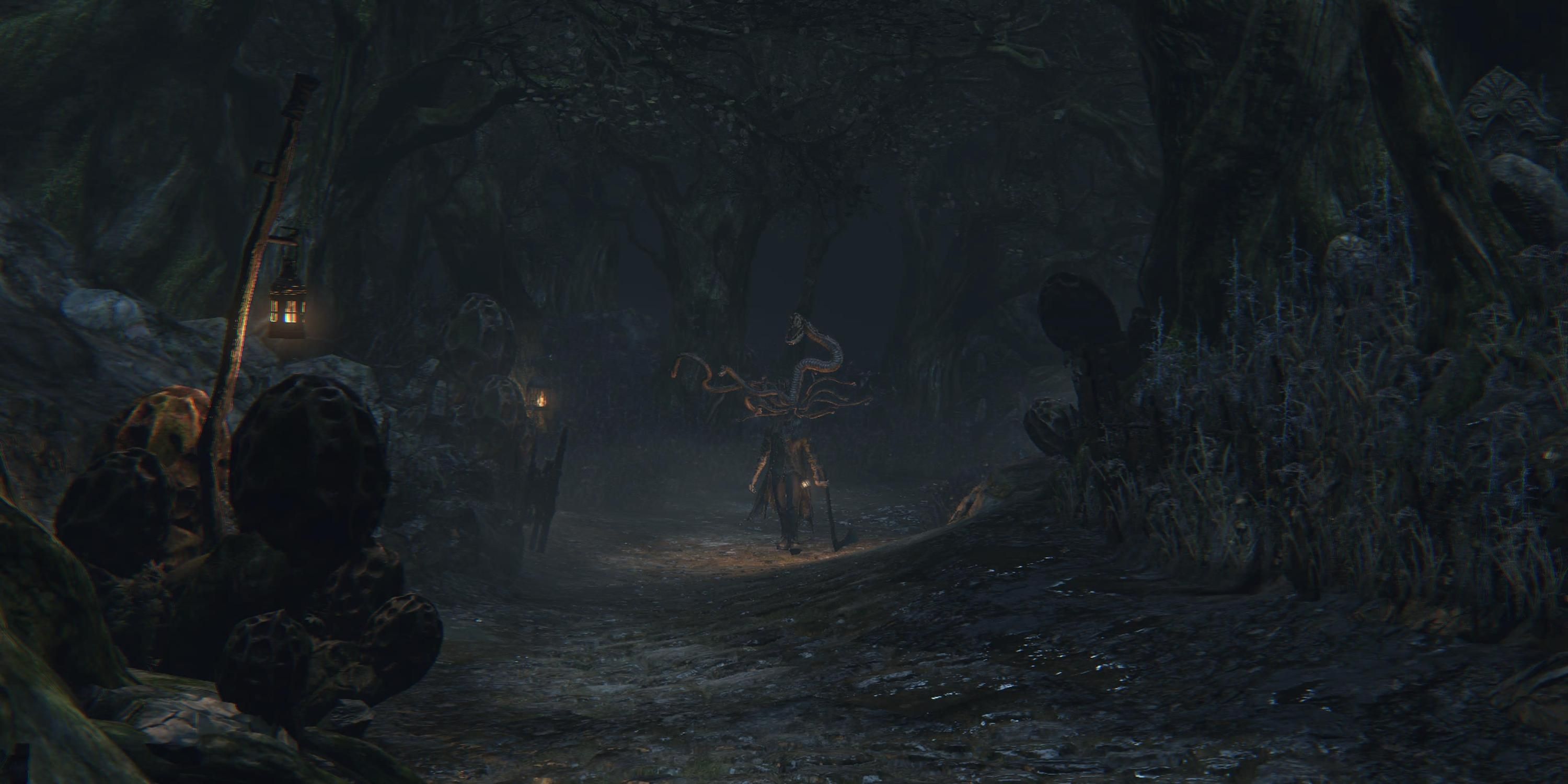 Looking at an enemy in Forbidden Woods in Bloodborne