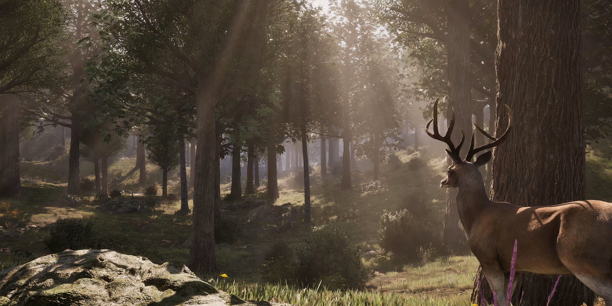 The Elder Scrolls Oblivion Remastered Wilds