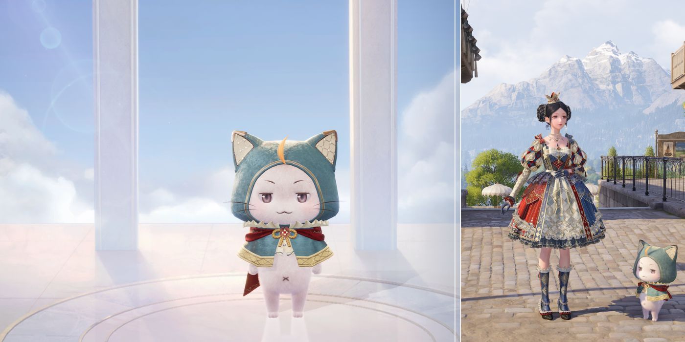 Momo's Chivalry Cloak Matched to Nikki's The Queen's Move Endgame Set