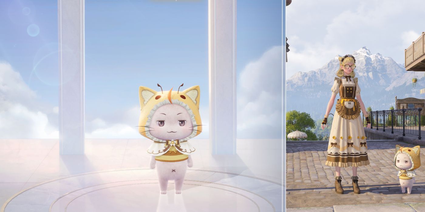 Momo's Honey Cloak matched to Nikki's Sweet Honey Set