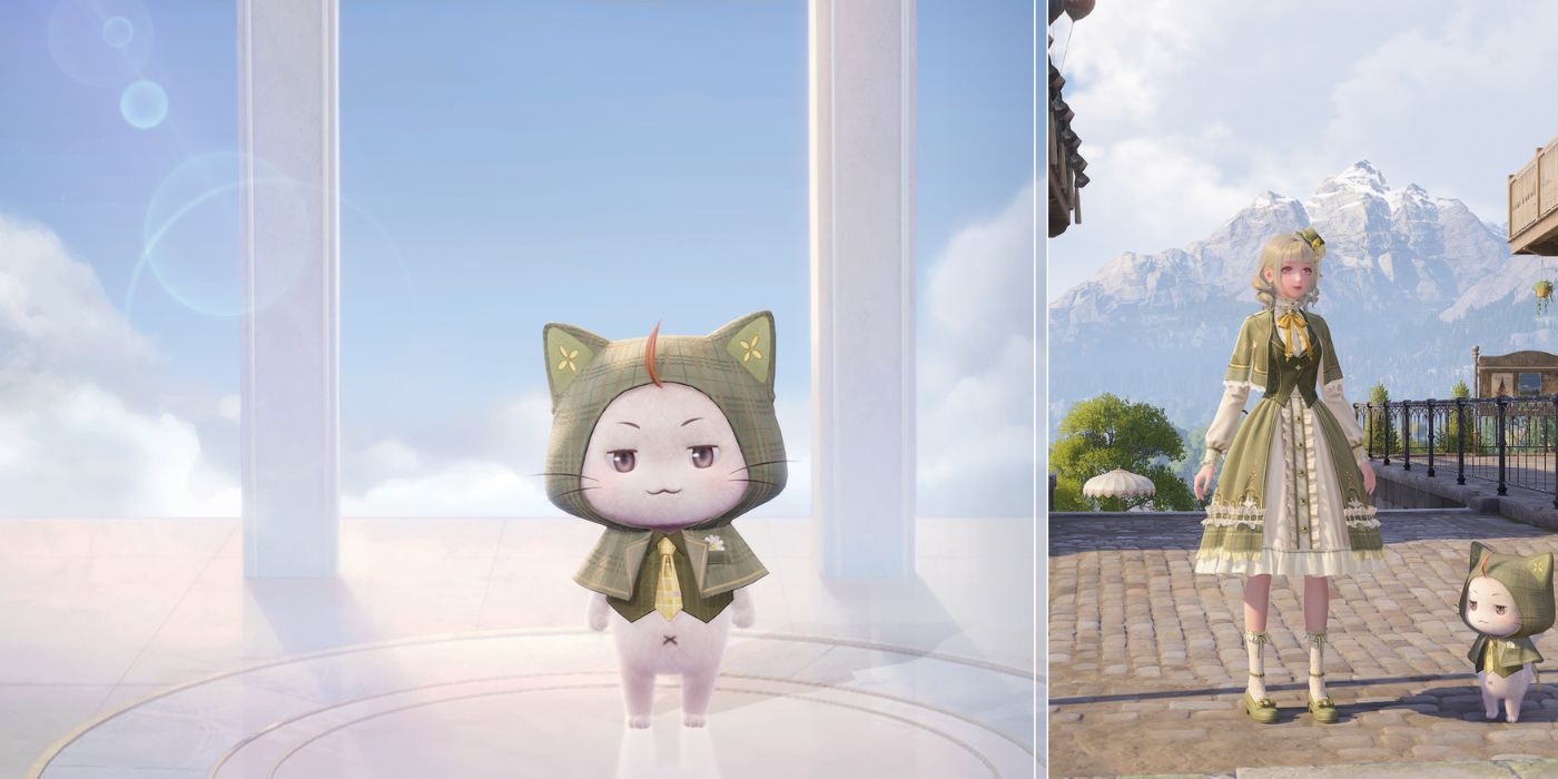 Momo's Sunny Day Cloak Matched to Nikki's Rebirth Wish Set