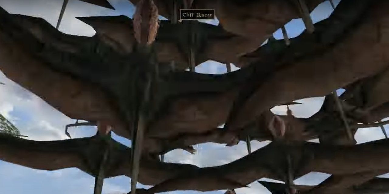 Morrowind - Cliff Racers