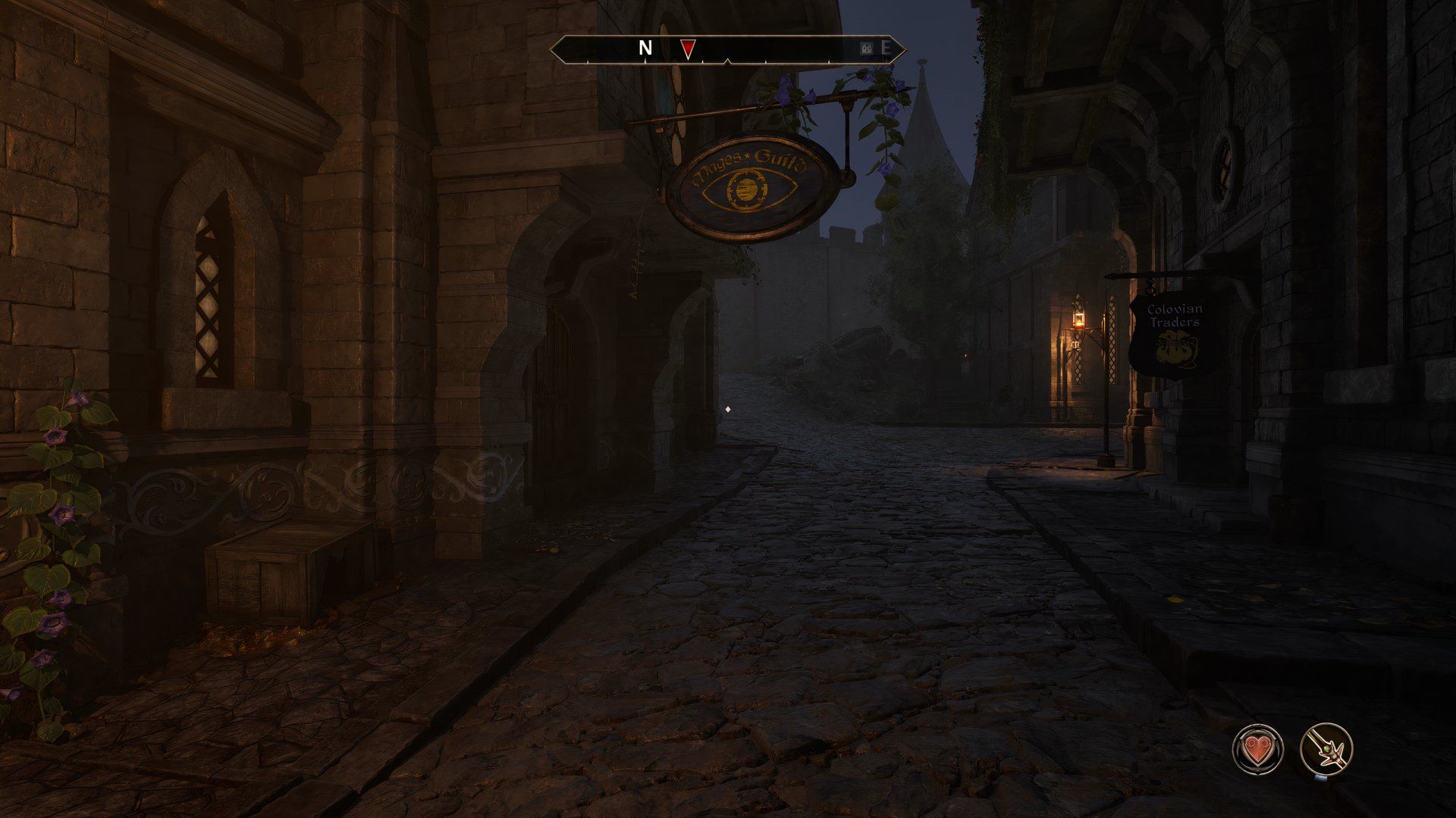 Oblivion Remastered Mages Guild Example