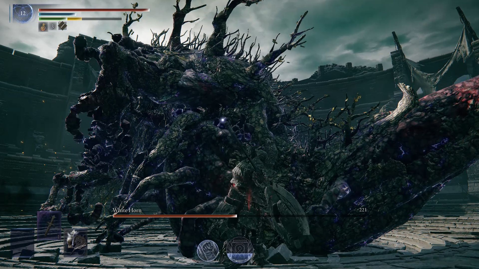Raider Remembrance Walkthrough in Elden Ring Nightreign