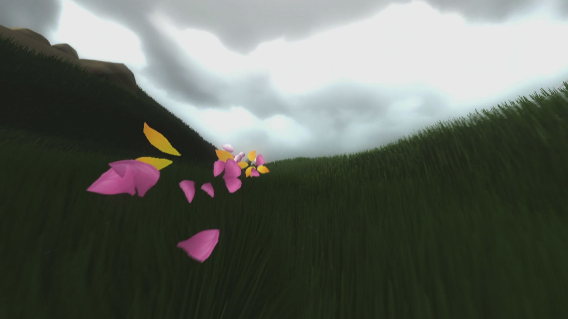 FlowerEmergence2