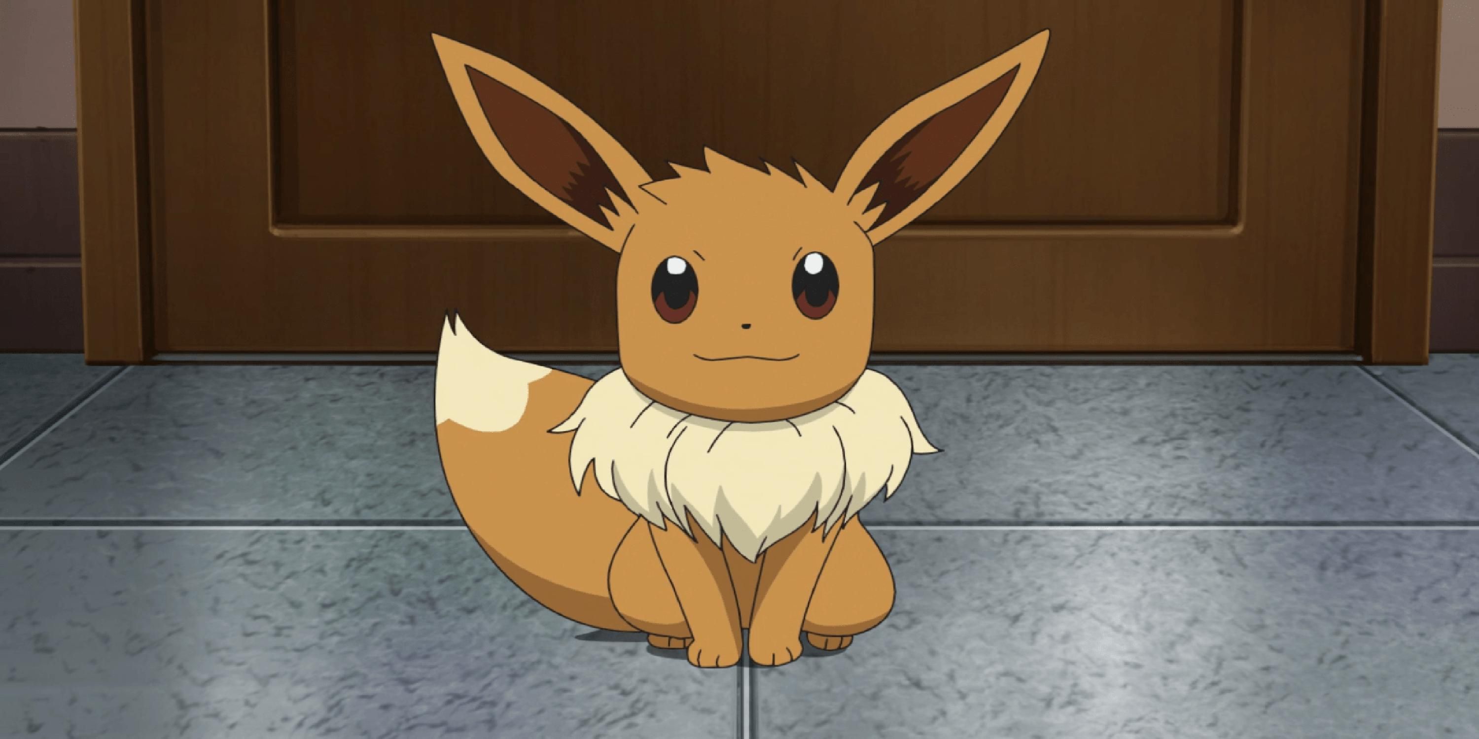 A Eevee from Pokemon anime